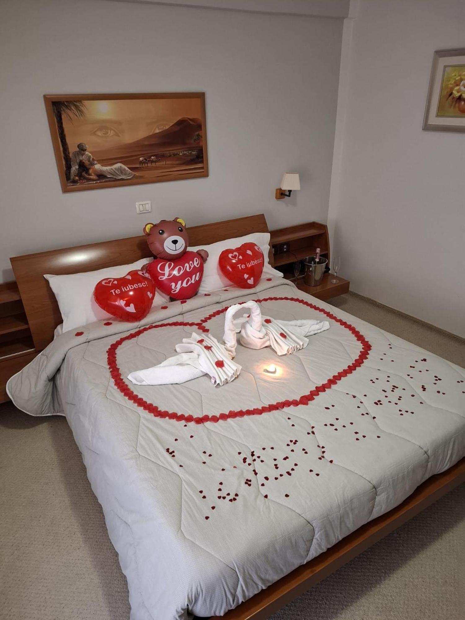 Hotel Vila Veneto Тимишоара Экстерьер фото